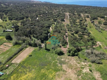 Terreno Agricola ou Rústico para Venda em Sesimbra (Castelo)