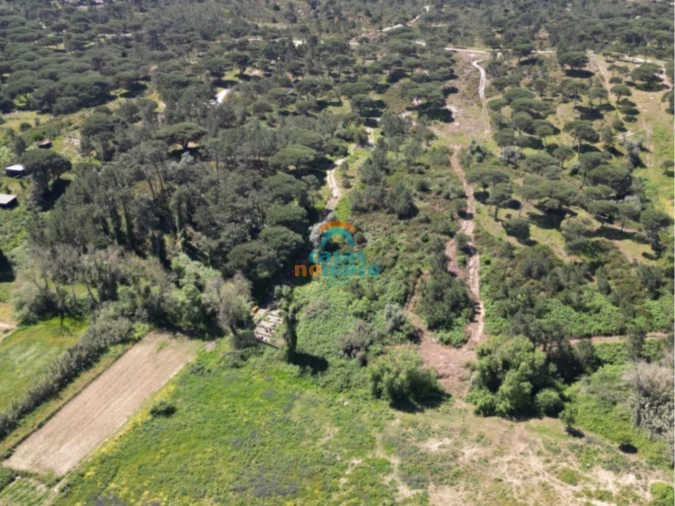 Terreno Agricola ou Rústico para Venda em Sesimbra (Castelo) Foto 2