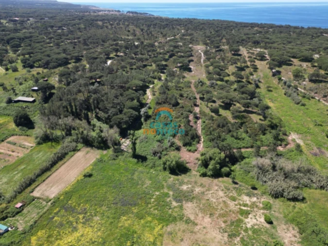 Terreno Agricola ou Rústico para Venda em Sesimbra (Castelo) Foto 3