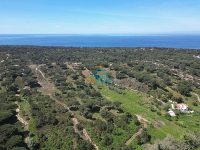 Terreno Agricola ou Rústico para Venda em Sesimbra (Castelo) Foto 7