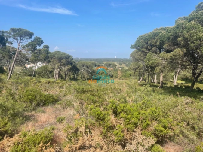 Terreno Agricola ou Rústico para Venda em Sesimbra (Castelo) Foto 9