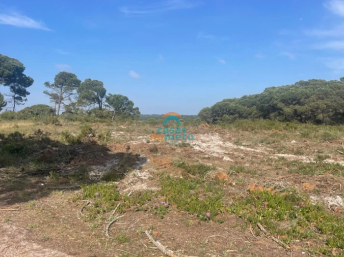 Terreno Agricola ou Rústico para Venda em Sesimbra (Castelo) Foto 11