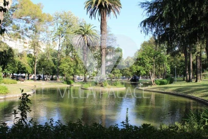 Apartamento T5 para Arrendamento em Alvalade