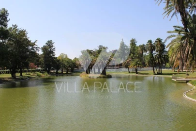 Apartamento T5 para Arrendamento em Alvalade