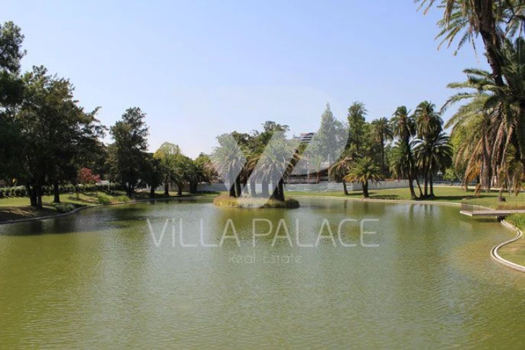 Apartamento T5 para Arrendamento em Alvalade Foto 25