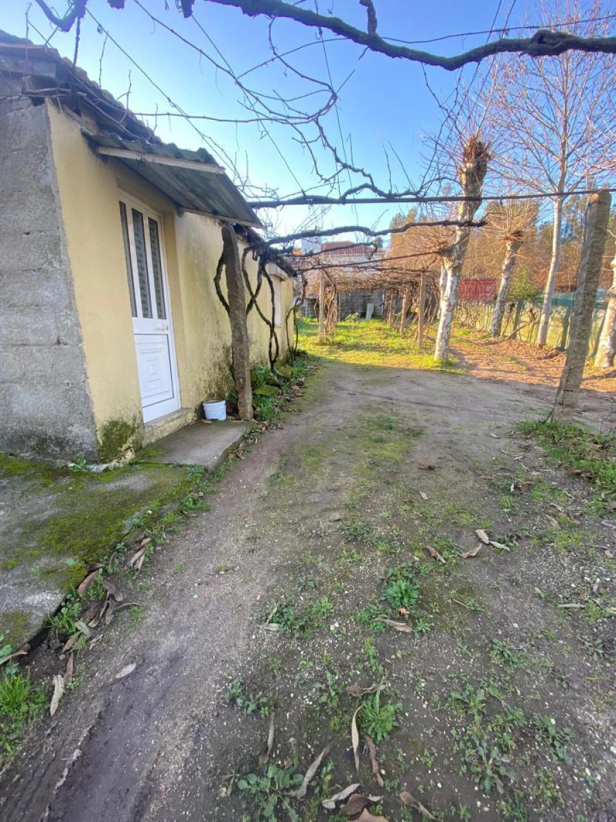 Quinta T3 para Venda em Meinedo Foto 3