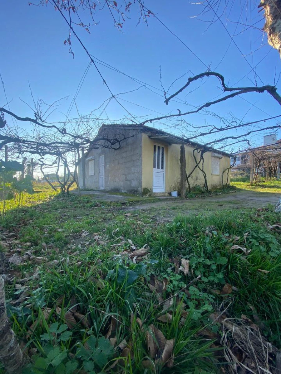 Quinta T3 para Venda em Meinedo Foto 4