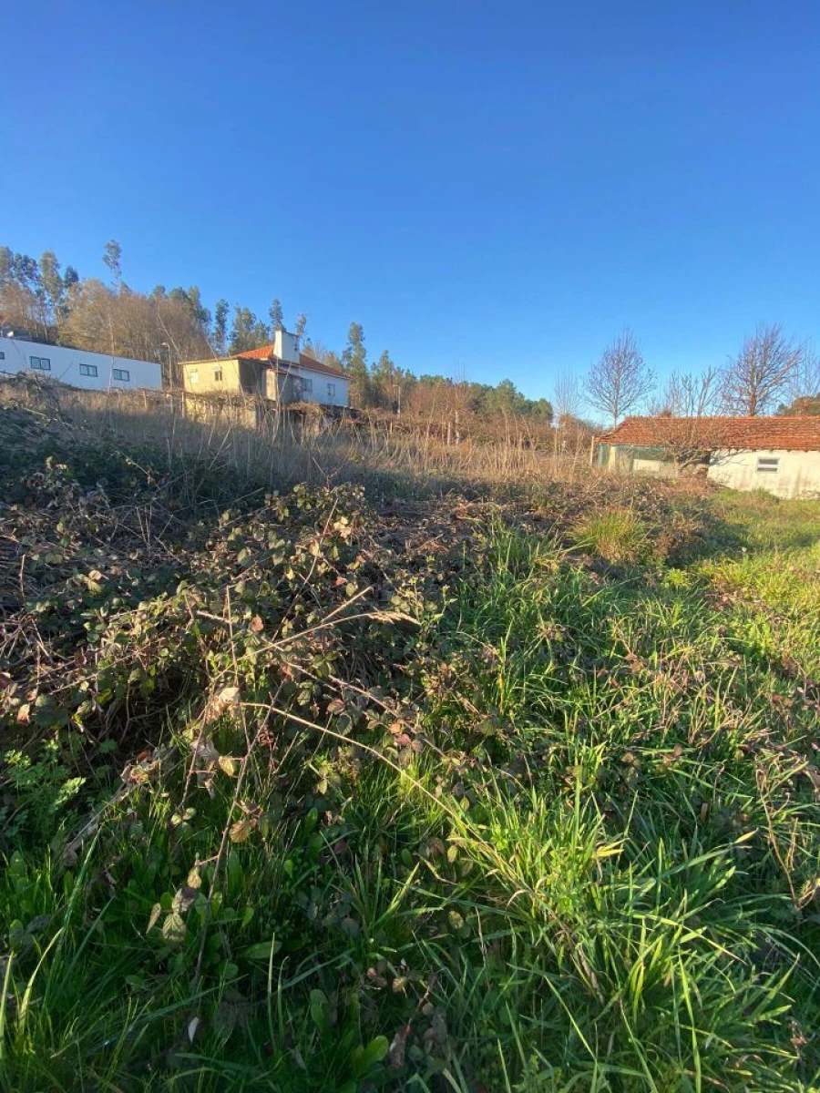 Quinta T3 para Venda em Meinedo Foto 6