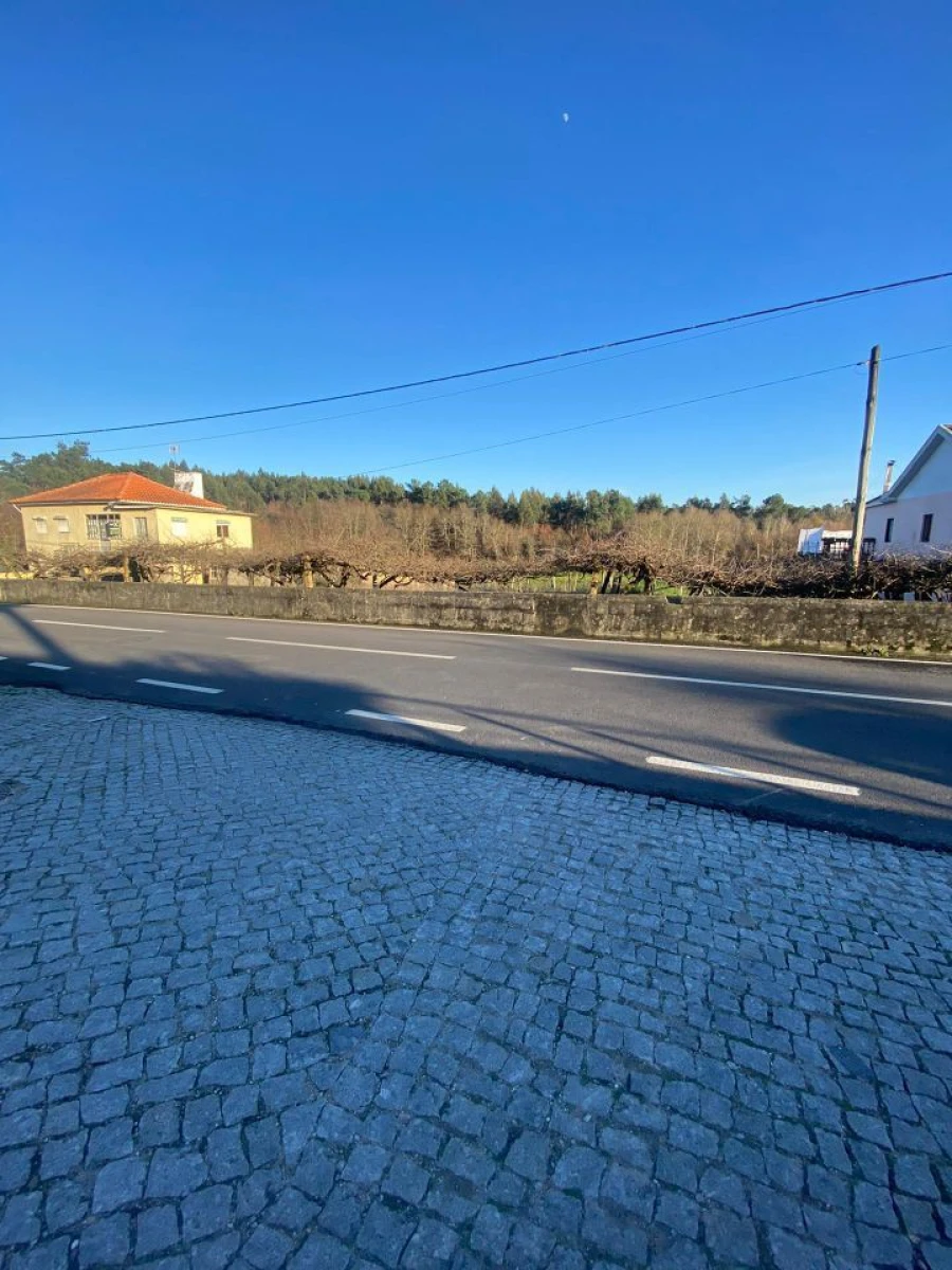 Quinta T3 para Venda em Meinedo Foto 7