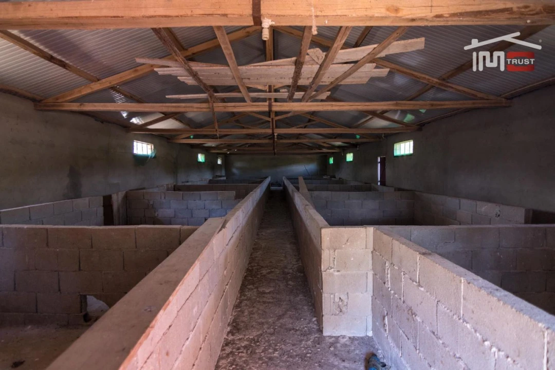 Armazém para Venda em São Mamede Foto 7