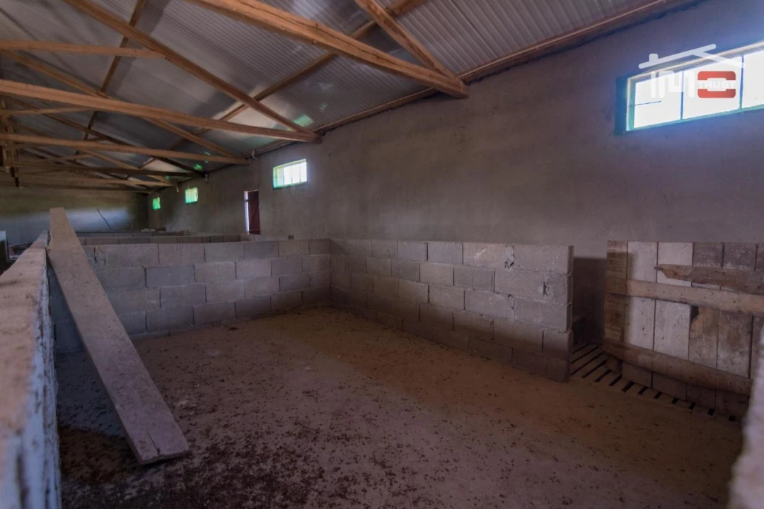 Armazém para Venda em São Mamede Foto 9