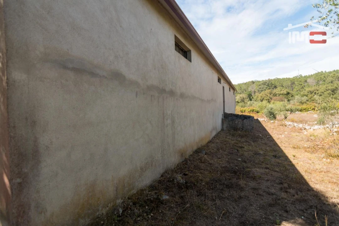 Armazém para Venda em São Mamede Foto 11