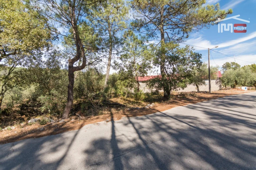 Armazém para Venda em São Mamede Foto 12