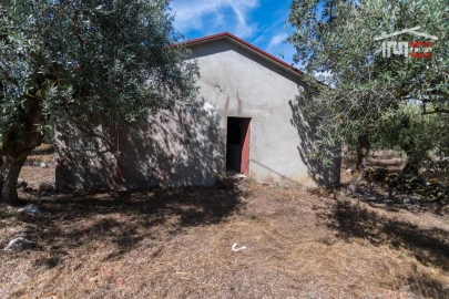 Armazém para Venda em São Mamede