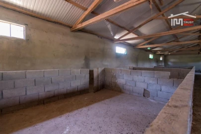 Armazém para Venda em São Mamede