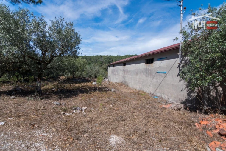 Armazém para Venda em São Mamede Foto 4