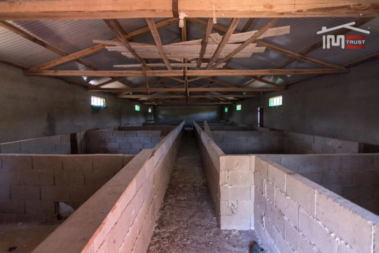 Armazém para Venda em São Mamede Foto 7