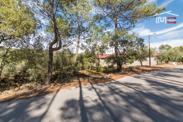 Armazém para Venda em São Mamede Foto 12