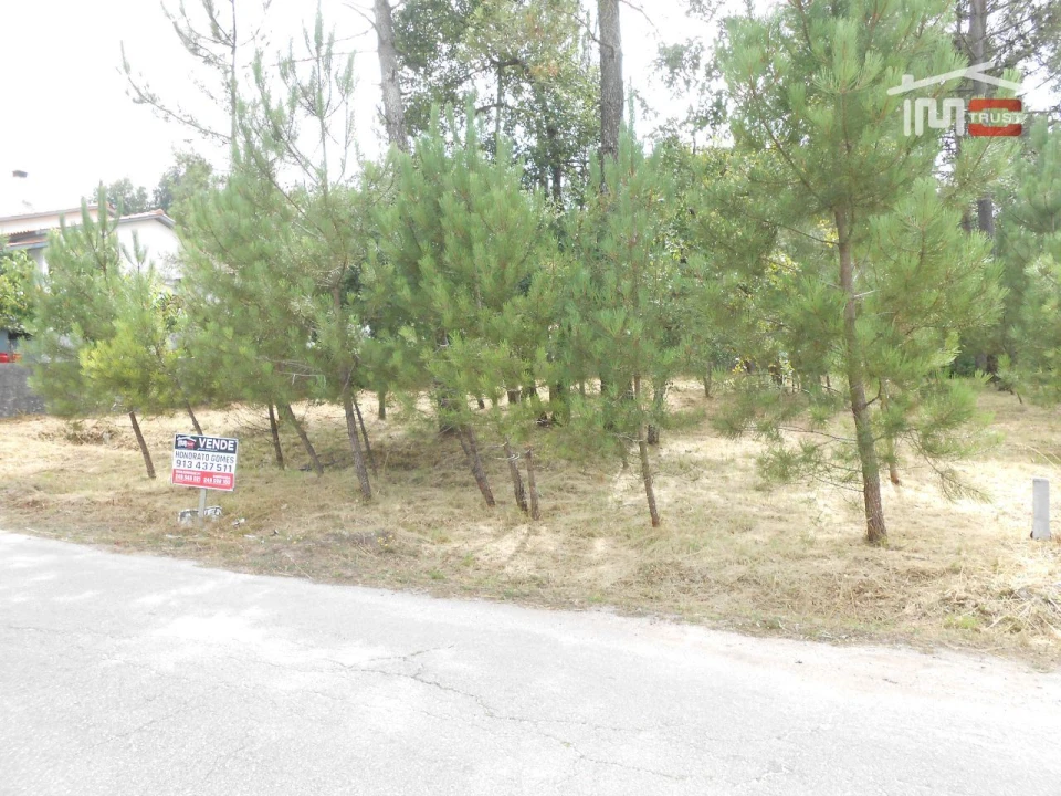 Terreno para Venda em Alqueidão da Serra Foto 1