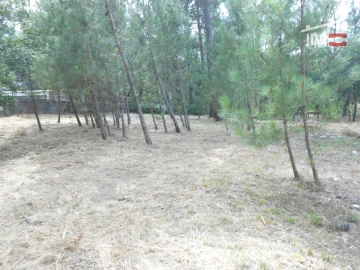 Terreno para Venda em Alqueidão da Serra