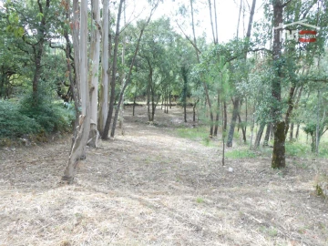 Terreno para Venda em Alqueidão da Serra