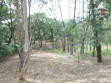 Terreno para Venda em Alqueidão da Serra