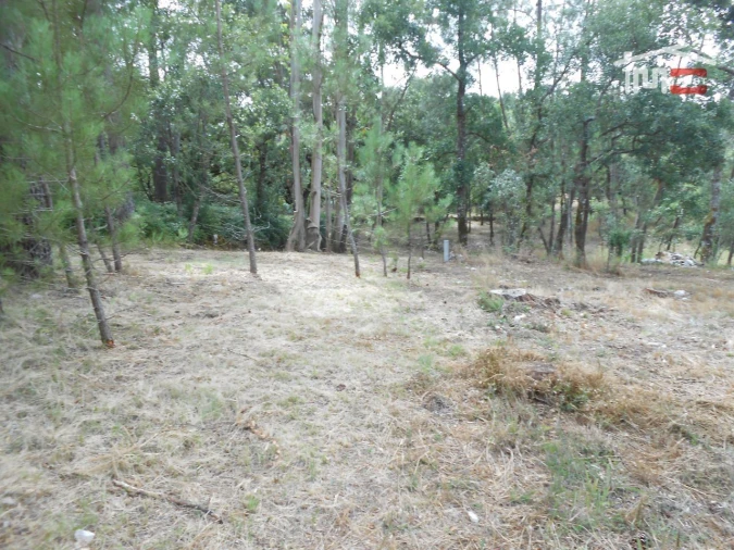 Terreno para Venda em Alqueidão da Serra Foto 7