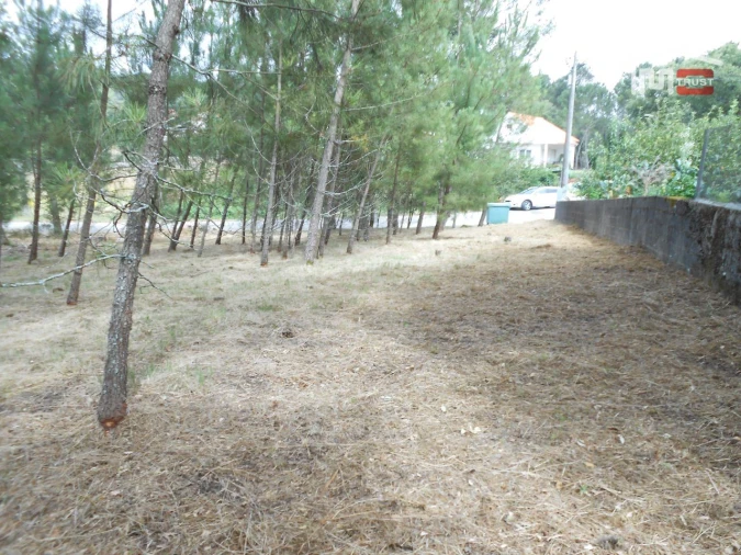 Terreno para Venda em Alqueidão da Serra Foto 11