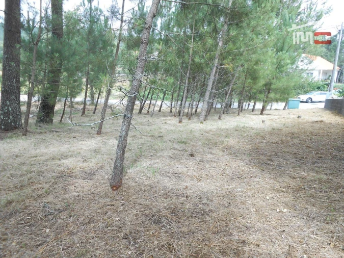 Terreno para Venda em Alqueidão da Serra Foto 12