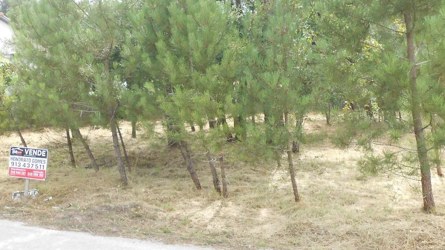 Terreno para Venda em Alqueidão da Serra