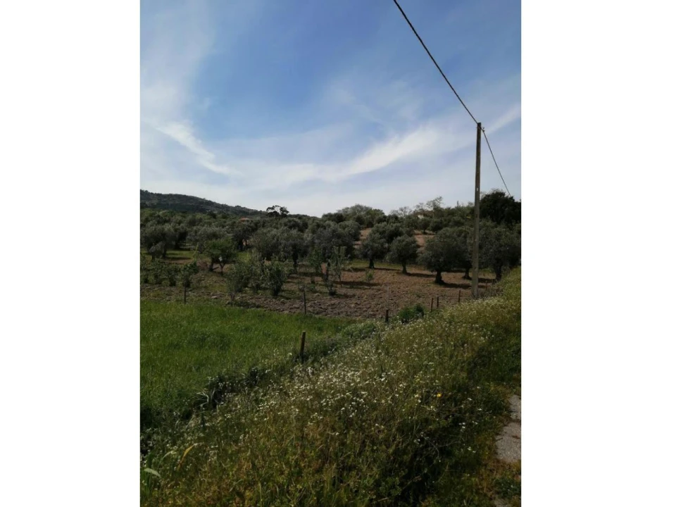 Quinta T2 para Venda em Santa Maria da Devesa Foto 3