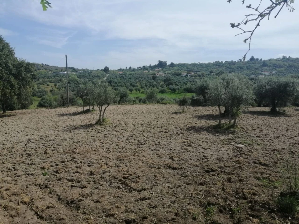 Quinta T2 para Venda em Santa Maria da Devesa Foto 22