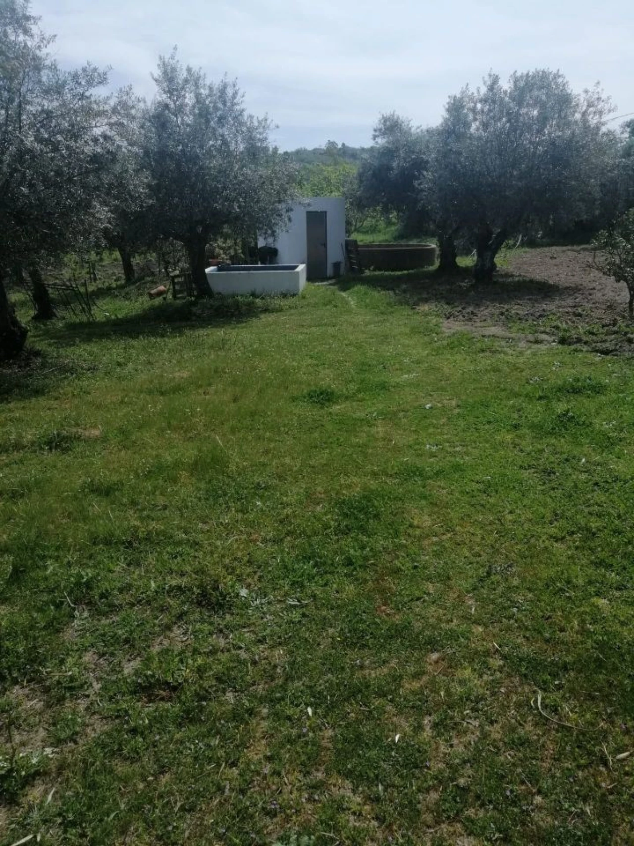 Quinta T2 para Venda em Santa Maria da Devesa Foto 13