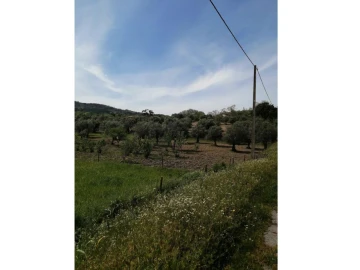 Quinta T2 para Venda em Santa Maria da Devesa