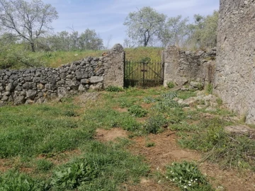 Quinta T2 para Venda em Santa Maria da Devesa