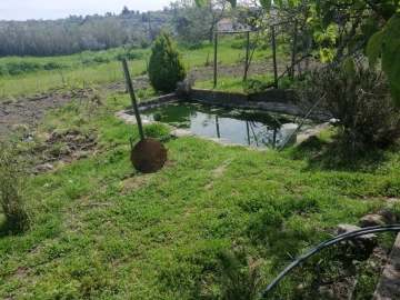 Quinta T2 para Venda em Santa Maria da Devesa