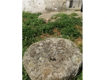 Quinta T2 para Venda em Santa Maria da Devesa