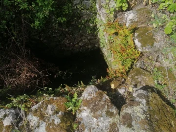 Quinta T2 para Venda em Santa Maria da Devesa