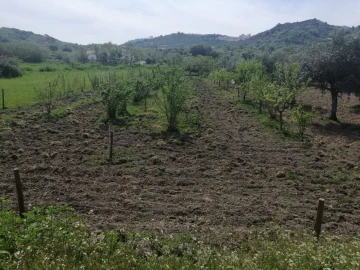 Quinta T2 para Venda em Santa Maria da Devesa