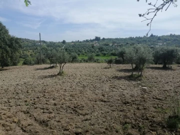 Quinta T2 para Venda em Santa Maria da Devesa