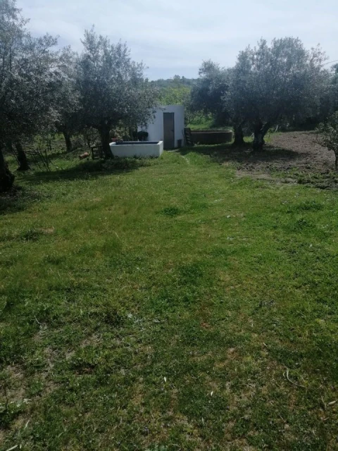 Quinta T2 para Venda em Santa Maria da Devesa