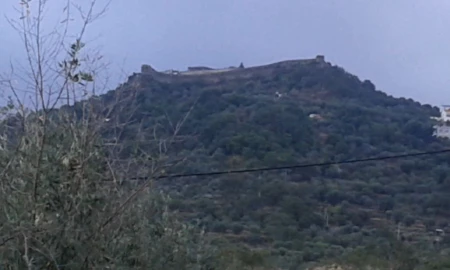 Quinta T2 para Venda em Santa Maria da Devesa