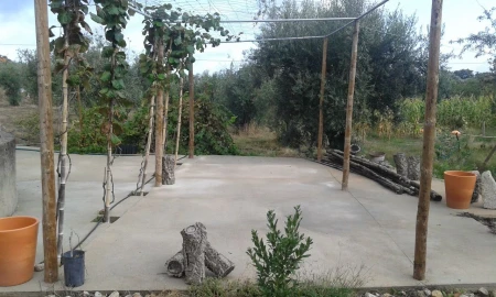 Quinta T2 para Venda em Santa Maria da Devesa