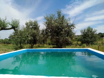 Quinta T2 para Venda em Santa Maria da Devesa