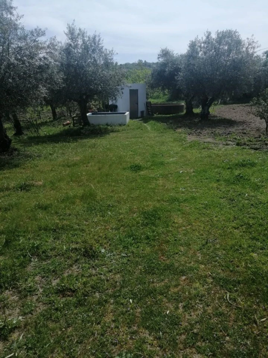 Quinta T2 para Venda em Santa Maria da Devesa Foto 13