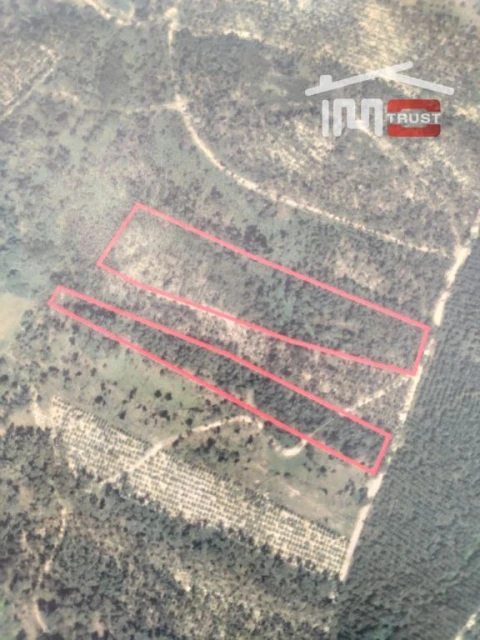 Terreno Agricola ou Rústico para Venda em Nossa Senhora das Misericordias