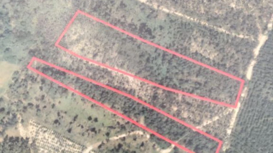 Terreno Agricola ou Rústico para Venda em Nossa Senhora das Misericordias