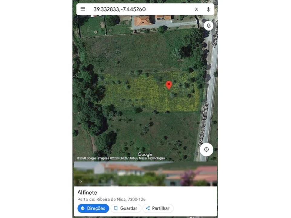 Terreno Agricola ou Rústico para Venda em Ribeira de Nisa e Carreiras Foto 4