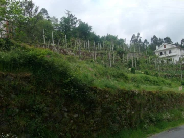 Terreno para Venda em Esperança e Brunhais