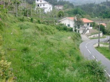 Terreno para Venda em Esperança e Brunhais